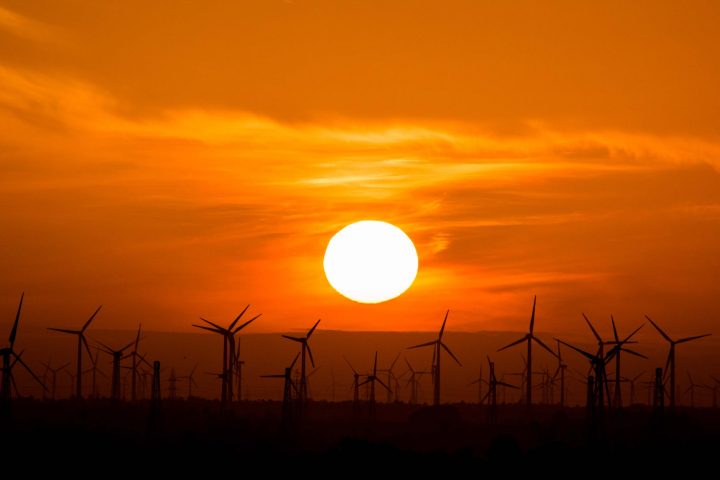 wind turbines during golden hour