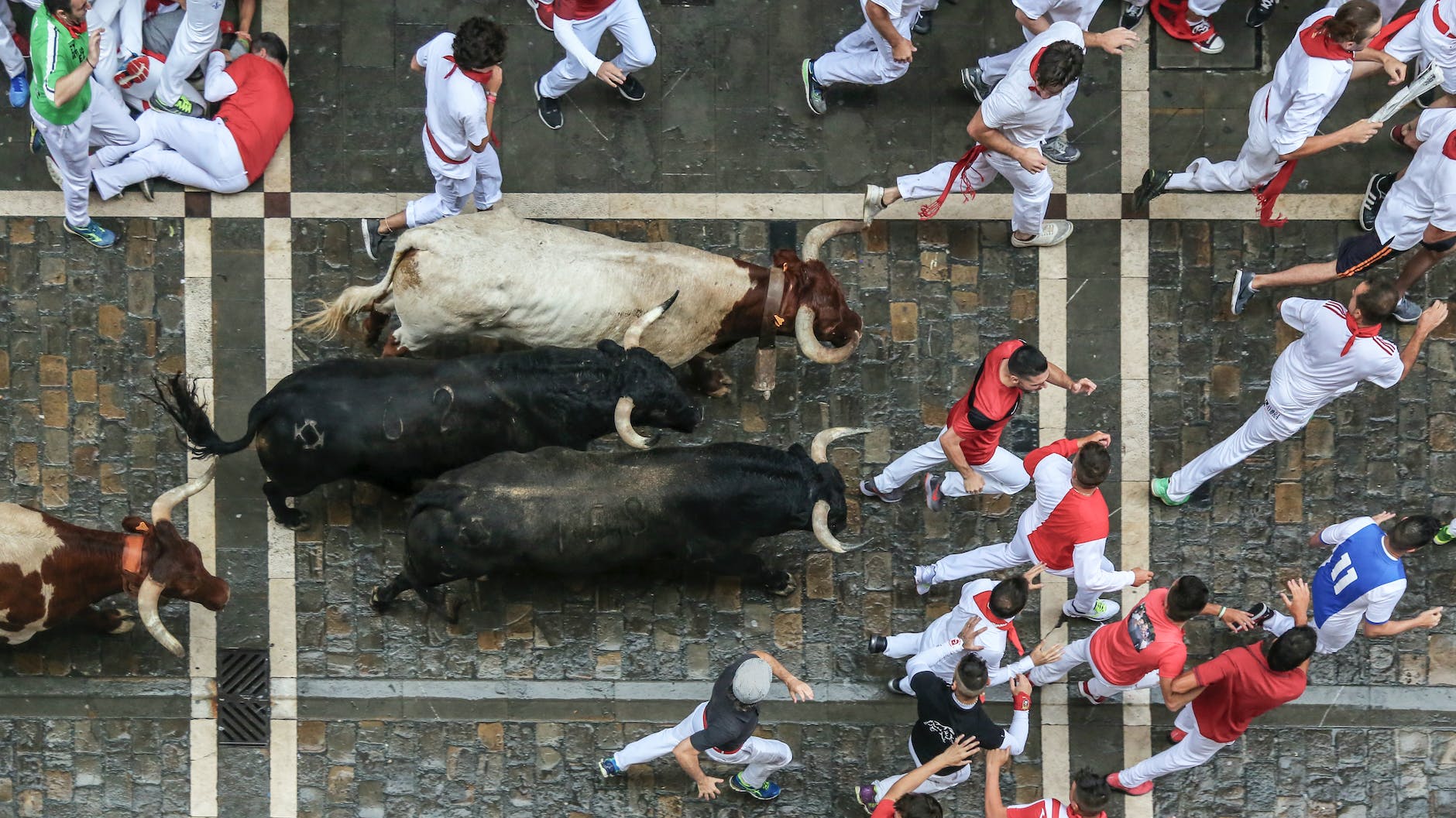 Corridas de toros: AMLO propone consulta para decidir sobre su prohibición