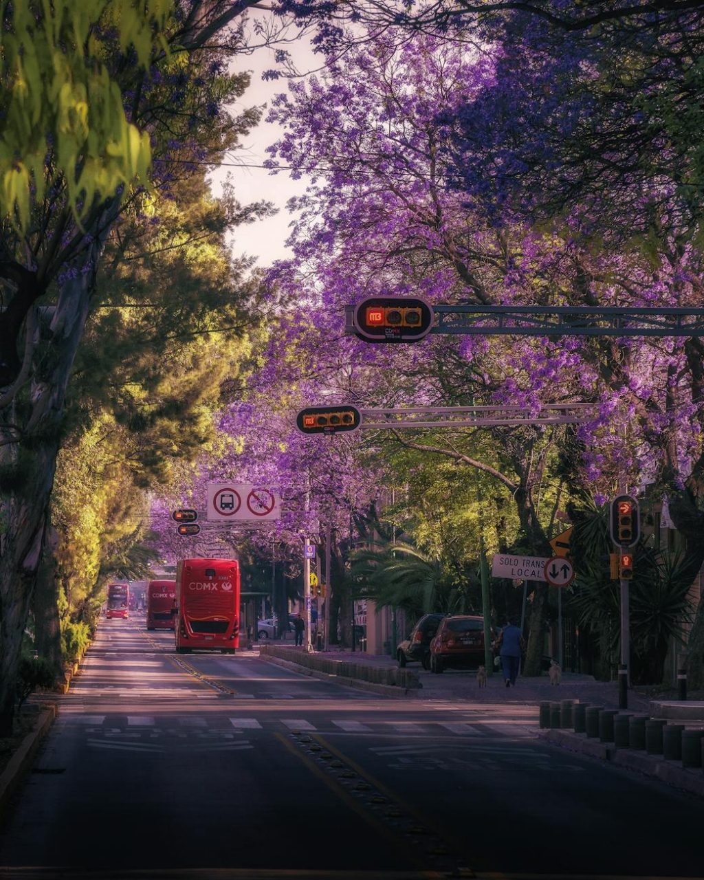 red bus on the street