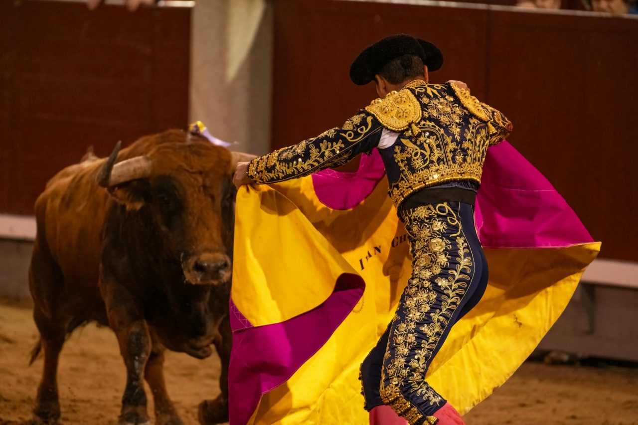 torreador with bull at plaza de toros