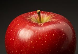 ¿Qué sembrar en esta temporada de lluvias? cover