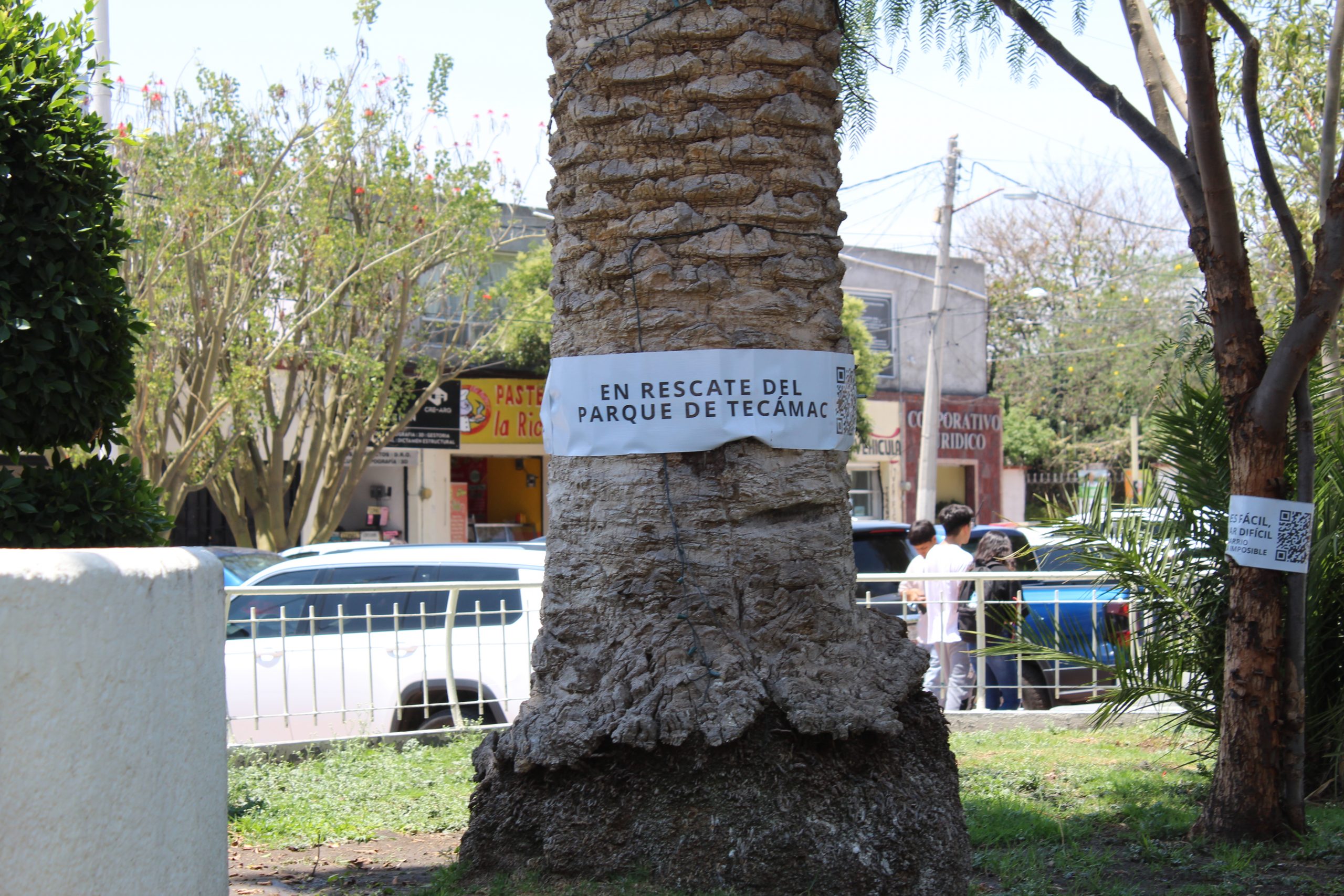 el ambientalista post