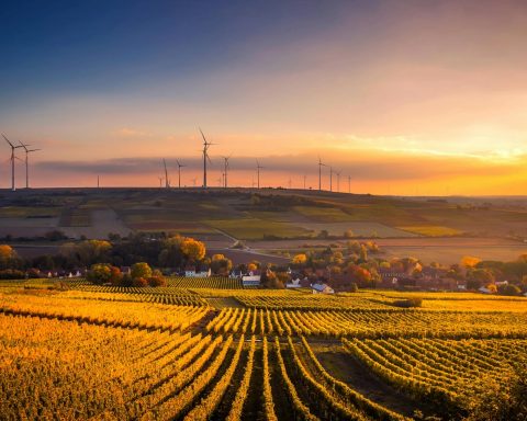 scenic view of agricultural field against sky during sunset
