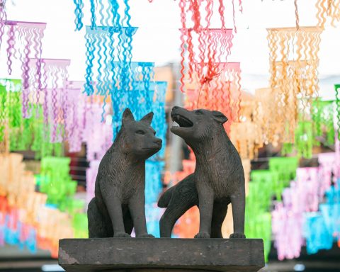 colorful cloths behind statue of wolves
