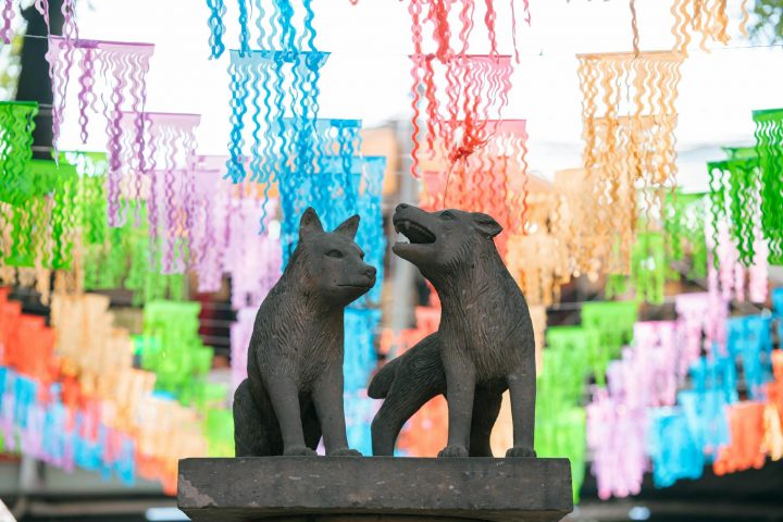 colorful cloths behind statue of wolves