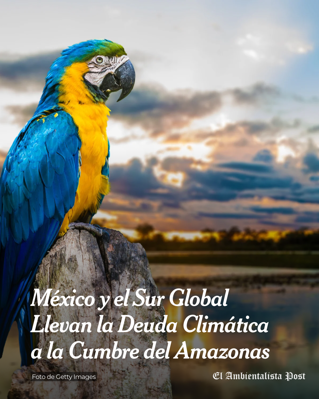 Evidencia fotográfica