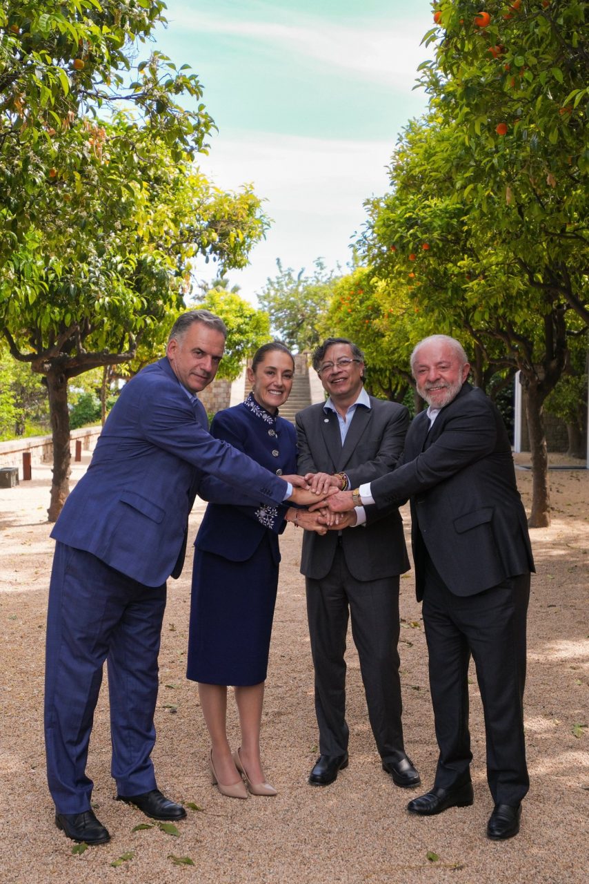 Actualización en vivo