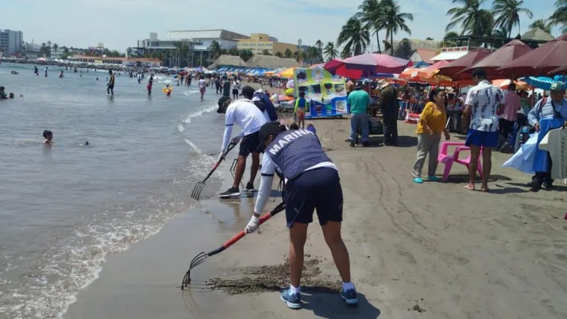 Actualización en vivo