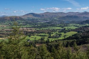 Whinlatter Forest