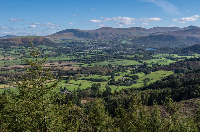 Whinlatter Forest
